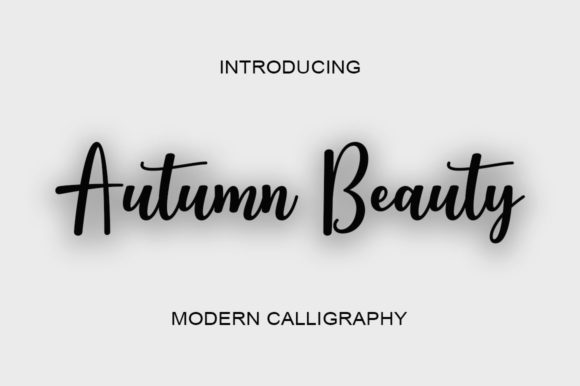 Autumn Beauty: A Display Font That Brings Charm to Branding