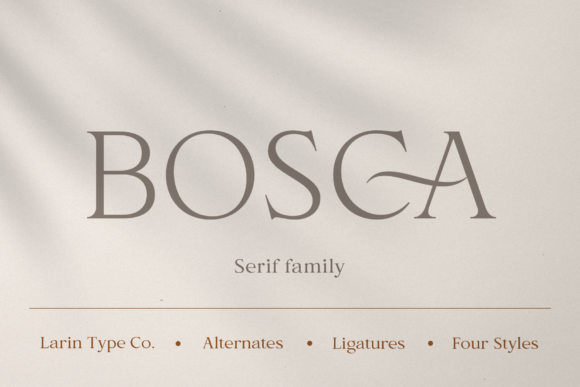 Bosca: A Serif Font Built for Campaign Clarity