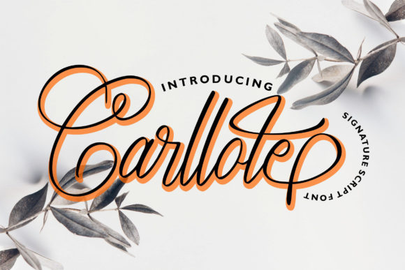 Carllote: A Script Font That Balances Charm and Elegance