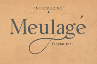 Meulage: A Modern Sans Serif That Earns Its Place in Real Projects