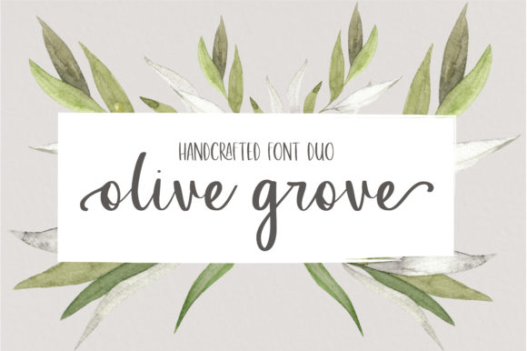 Olive Grove Font: A Duo Typeface for Handmade Products and Craft Designs